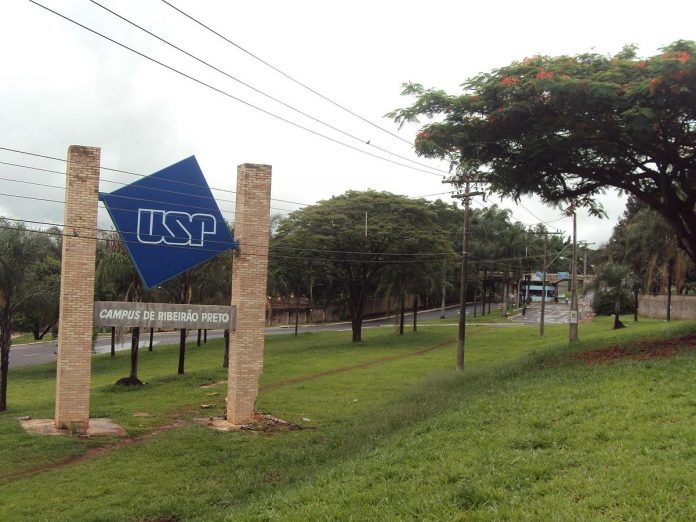 USP Ribeirão (Foto: Divulgação)