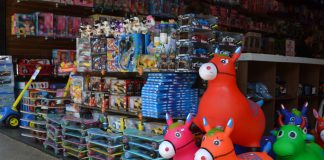 Loja de Brinquedos (Foto: Divulgação)